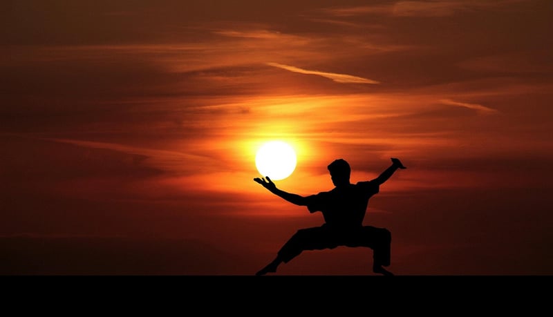 Tai Chi poses